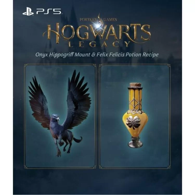 Гра Sony Hogwarts Legacy, BD диск (5051895413425) - фото 12