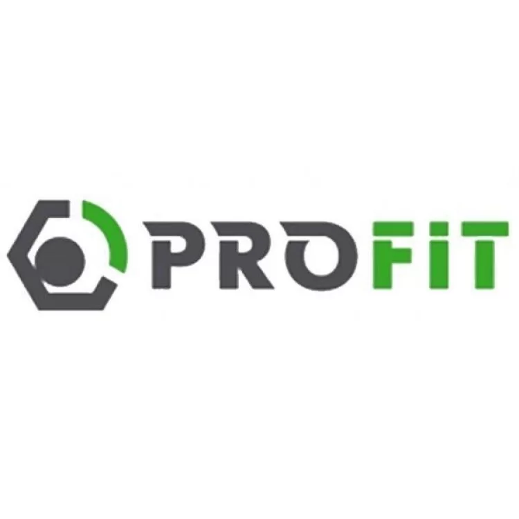 Повітряний фільтр для автомобіля Profit 1512-2896