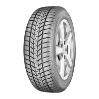 Шина Sava Eskimo HP 2 205/55R16 91H (531962)