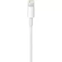 Дата кабель USB 2.0 AM to Lightning 2.0m Apple (MD819ZM/A)