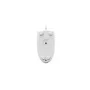 Мышка A4Tech N-530 USB White (4711421987479)