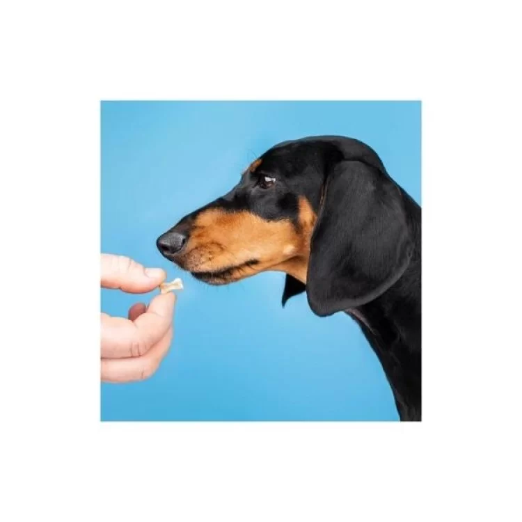 в продаже Витамины для собак ProVET Мини-комплекс для мелких пород 100 табл. (4823082431687) - фото 3