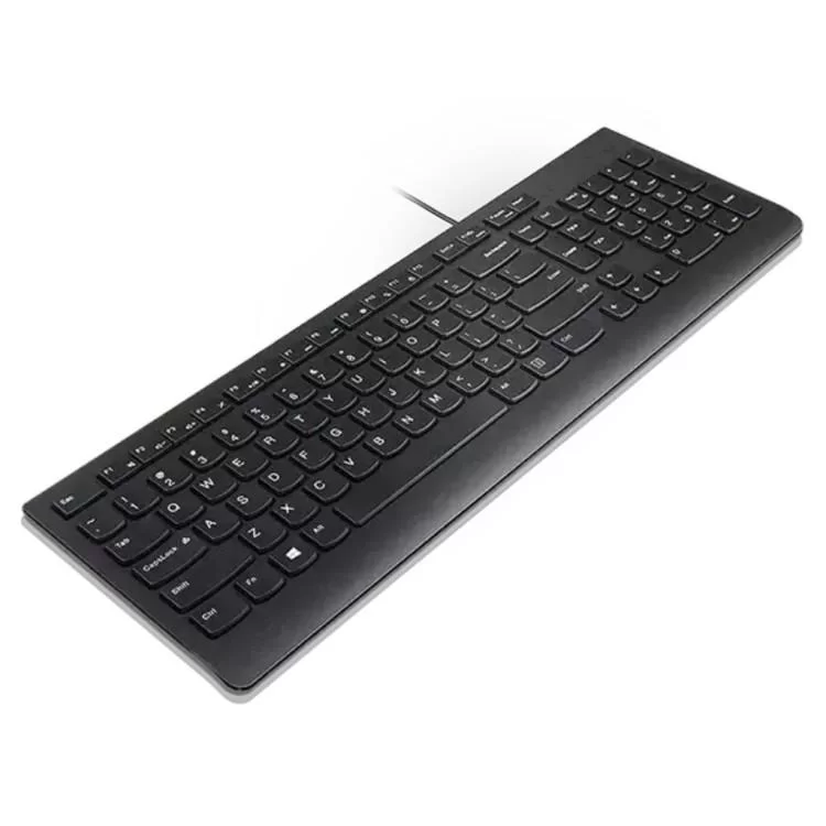 в продаже Клавиатура Lenovo Essential USB UA Black (4Y41C75141) - фото 3