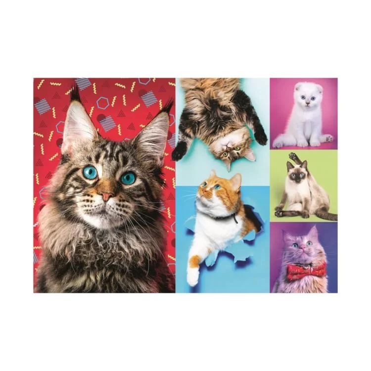 Пазл Trefl Веселые коты, 1000 элементов (6336395) цена 371грн - фотография 2