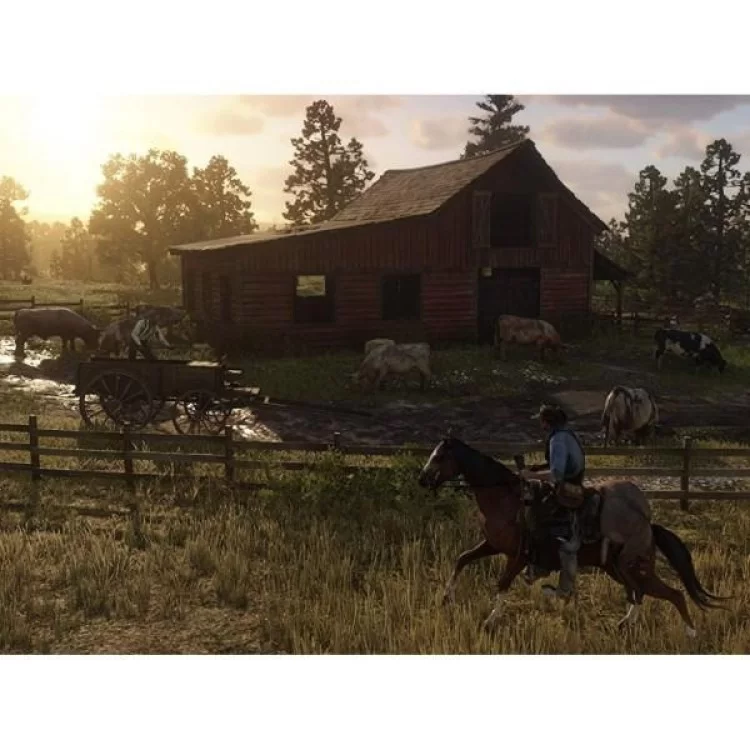 продаємо Гра Sony Red Dead Redemption 2, BD диск (5026555423052) в Україні - фото 4