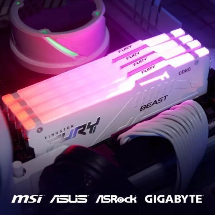 Модуль памяти для компьютера DDR5 16GB 6000 MHz Beast RGB EXPO White Kingston Fury (ex.HyperX) (KF560C36BWEA-16) отзывы - изображение 5