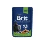 Влажный корм для кошек Brit Premium Cat Pouches Chicken Slices for Sterilised 100 г (8595602506033)