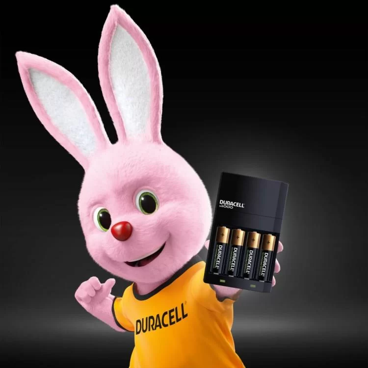 в продаже Зарядное устройство для аккумуляторов Duracell CEF14 + 2 rechar AA1300mAh + 2 rechar AAA750mAh (5007497 / 5004990) - фото 3