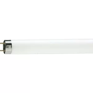 Лампочка Philips TL-D G13 600mm 18W/54-765 1SL/25 (928047305451)