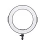 Набор блогера PowerPlant Ring Light RL-288A LED (RL288A)