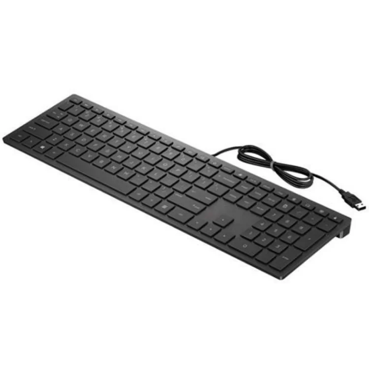 Клавиатура HP Pavilion 300 USB UA Black (4CE96AA) цена 2 548грн - фотография 2