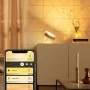 Настільна лампа Philips Hue Iris, Color, BT, DIM, золотиста (929002376401)