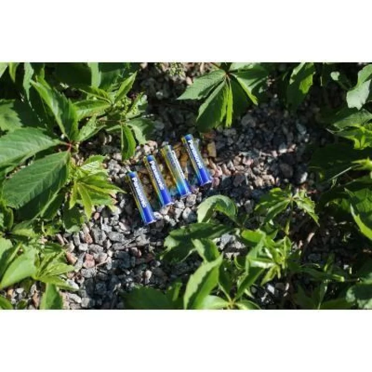 продаем Батарейка Panasonic AAA LR03 Evolta * 4 (LR03EGE/4BP) в Украине - фото 4