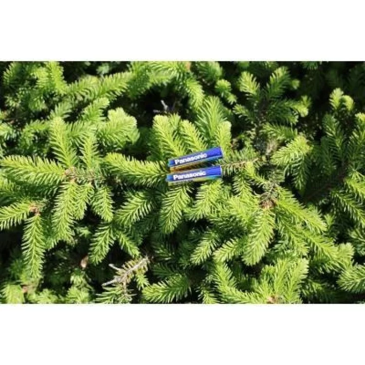 Батарейка Panasonic AAA LR03 Evolta * 4 (LR03EGE/4BP) отзывы - изображение 5