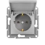 Розетка із заземленням та кришкою Schneider Asfora Алюміній (EPH3100161)