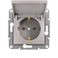 Розетка с заземлением и крышкой Schneider Asfora Бронза (EPH3100169)