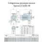 Насос поверхностный Speroni CS 40-160 B(101801290)